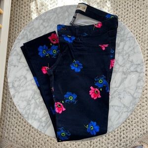 Hollister pants